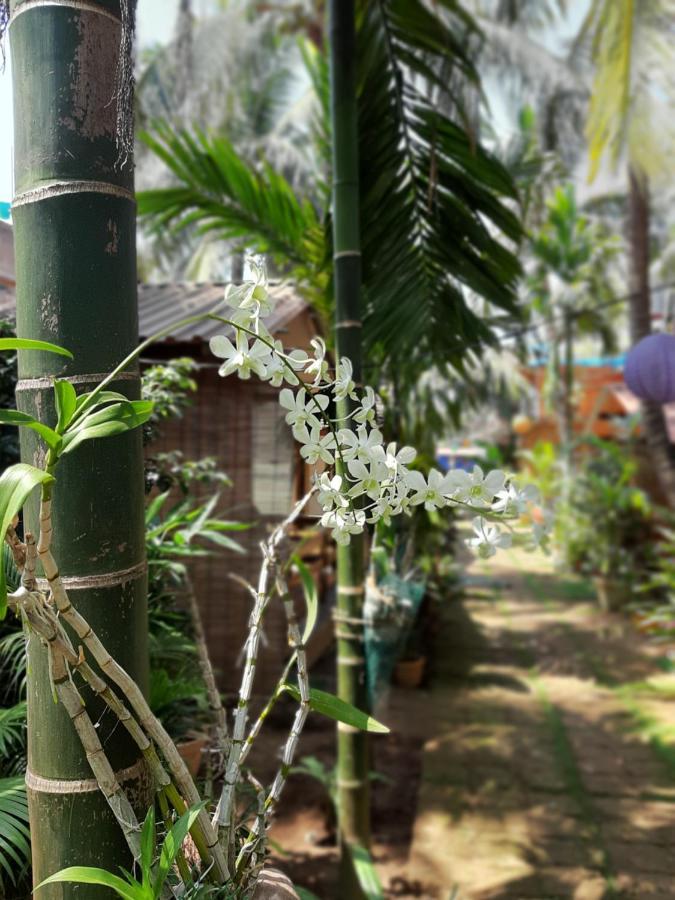 Agonda Holiday Home Ngoại thất bức ảnh